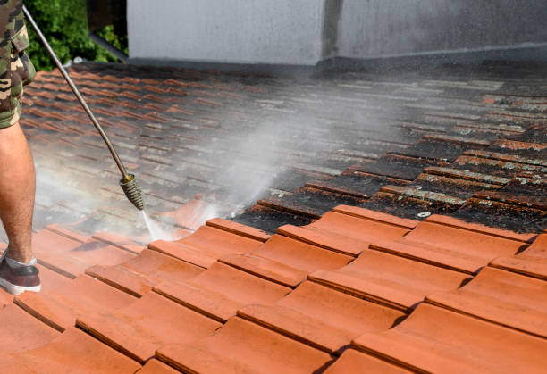 Best Sidewalk Pressure Washing  in De Smet, SD