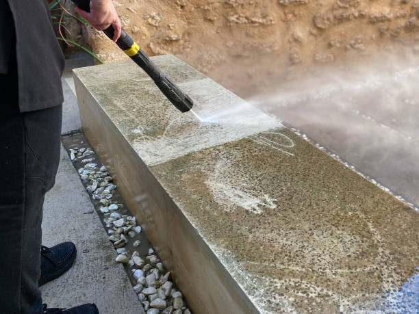 Best Roof Pressure Washing  in De Smet, SD